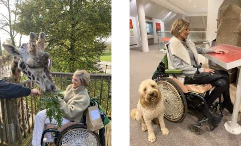 A female wheelchair user feeds a giraffe at the Cotswold Wildlife Park in one photo and discovers history at the Corinium Museum in another