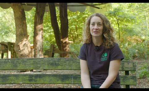 Sustainability Champions - Westonbirt Arboretum