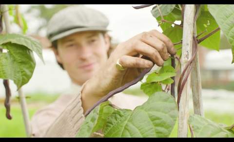 Sustainability Champions - Blenheim Palace