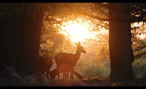 Sustainability Champions - Calcot Manor
