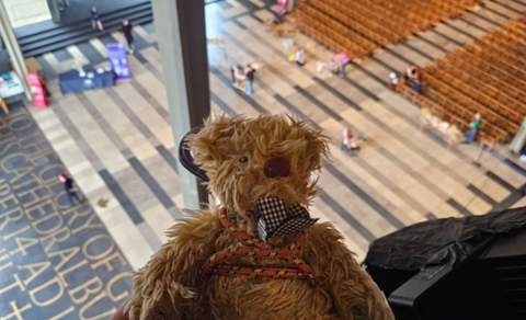 Teddy Bear Zipline
