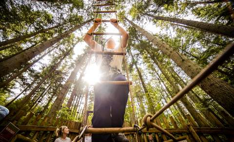 Go Ape Coventry