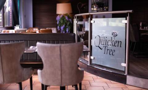The Quicken Tree