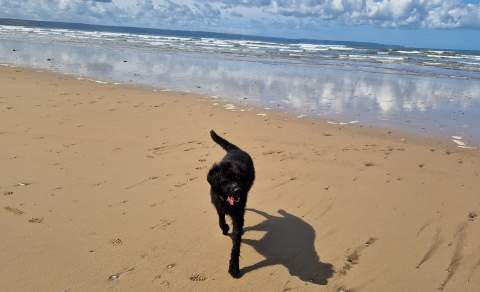 Chief Brody shares his favourite dog walking spots in North Devon