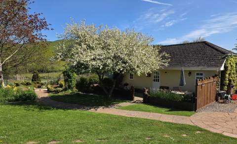 A charming cottage with a sloped roof surrounded by lush greenery. A blossoming tree shades the yard, and a clear blue sky enhances the tranquil setting.