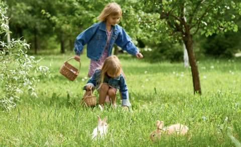 Two children in denim jackets explore a sunny garden with wicker baskets. They crouch near rabbits in the lush green grass, conveying a sense of wonder.