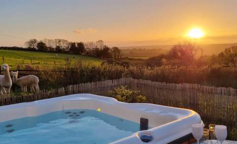 Sunset over a rural landscape with a hot tub in the foreground, alpacas grazing in a grassy field, and trees silhouetted against the vibrant sky.