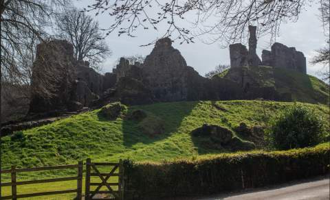 Ruins of an ancient stone castle sit atop a grassy hill under a clear blue sky. Bare tree branches frame the scene, evoking a sense of history and solitude.