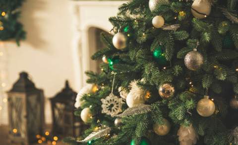 Christmas Special Offers