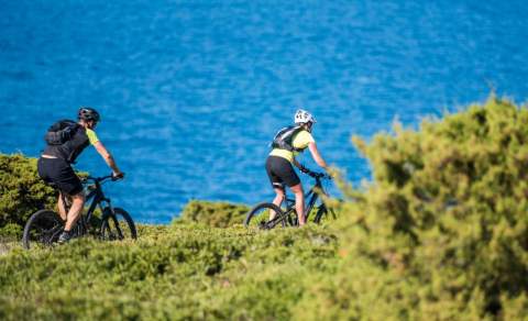Two cyclists in helmets ride mountain bikes on a grassy trail beside a vivid blue sea, with green shrubs in the foreground, evoking an adventurous spirit.