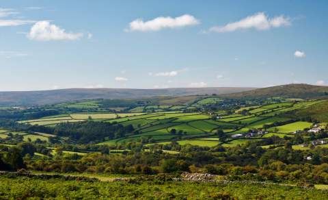 Dartmoor