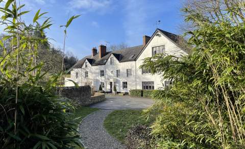 White country house with slate roof, surrounded by lush greenery and bamboo, under a clear blue sky. A gravel path leads to the entrance, creating a serene atmosphere.