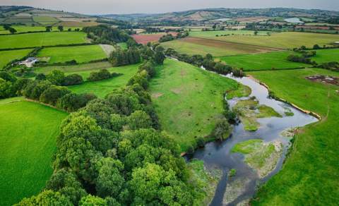 The Exe River Valley