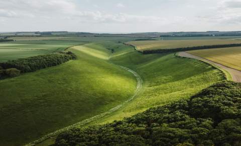 Wolds