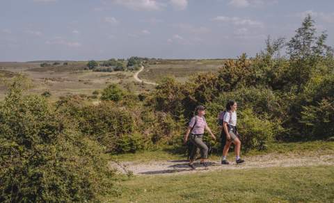 Two people walking uphill in the New Forest