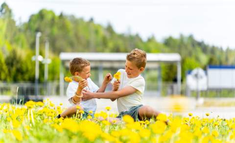 To gutter som sitter i en blomstereng