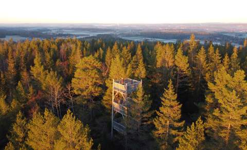 Drone bilde som ser ned på ett klatretårn omgitt av skog
