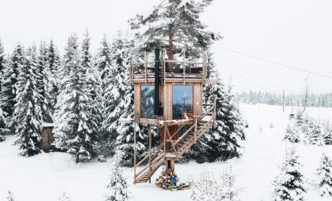 Opplev unit overnatting i tretoppene hos Tretopphytter Brumunddal