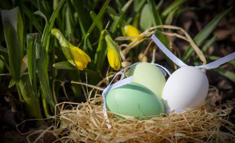 Easter Eggs