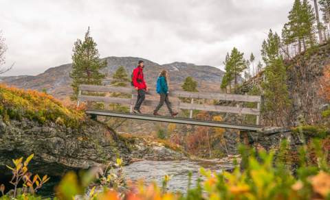 Explore season