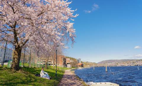 Vår i Kristiansand sentrum