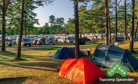 Telt og camping på Topcamp Sjøsanden