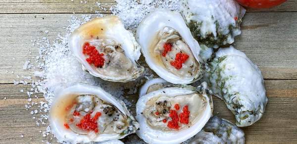 Oysters on a picnic table