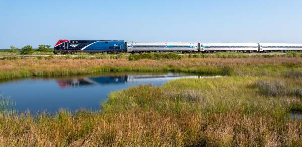 An Amtrak engine and three cars on the rail lines surrounded by marshes and bayous