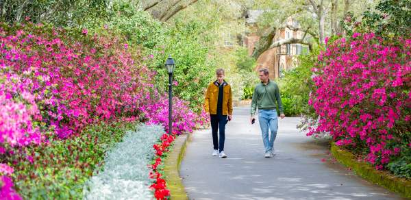 Spring Is Blooming in Mobile