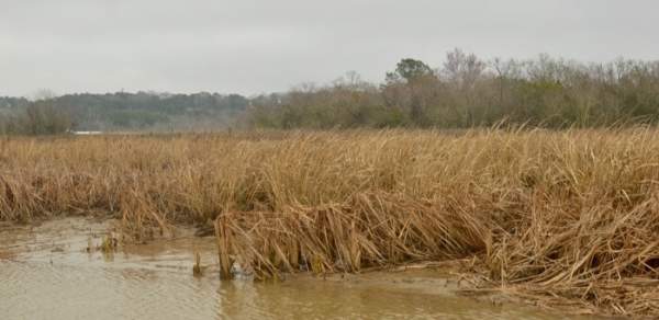 Cruising the Mobile-Tensaw Delta