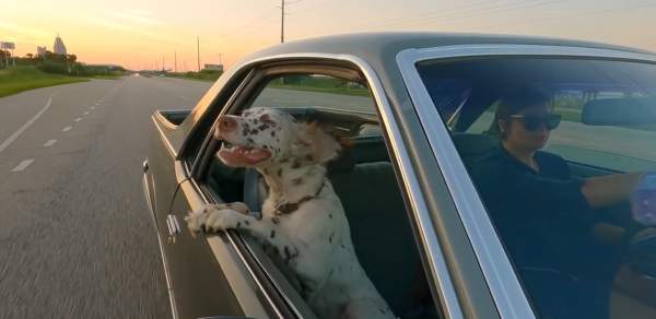 "Mobile is for Best Friends" video nominated for Best Local TV Ad