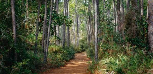 Gulf Coast Road Trip: 9 days in Alabama and Mississippi US
