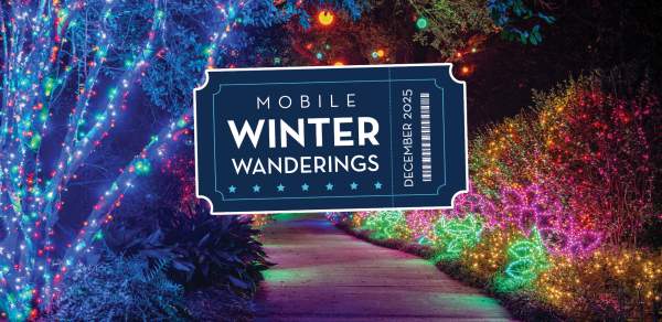 A walking path at night with trees and shrubs brightly lit with colorful lights, Mobile Winter Wanderings logo