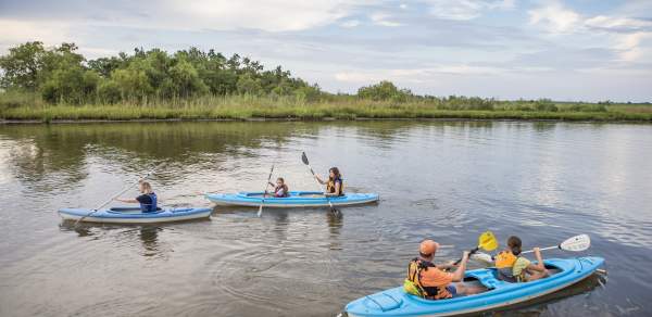 kayaking in the delta