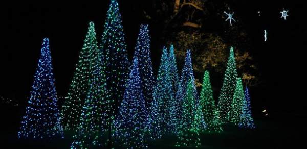 magic-christmas-in-lights