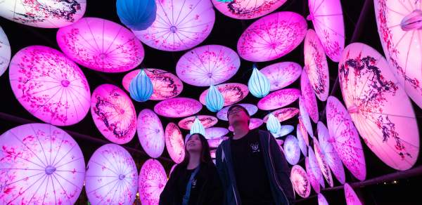 People walking through illuminated umbrella tunnel at the Gulf Coast Chinese Lantern Festival