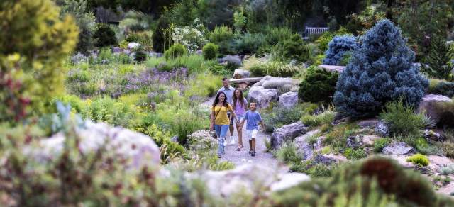 A family walks along a flower-lined path at Denver Botanic Gardens