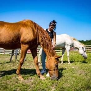 Indraloka Animal Sanctuary in Dalton, PA