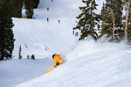 Skier going down a run at Snowbird Resort