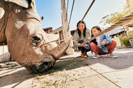 Mom and daughter petting a rhino at Utah's Hogle Zoo