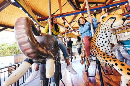 Hogle Zoo Carousel