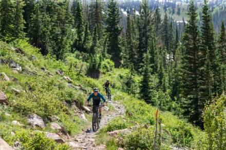 Mountain Biking Cottonwood