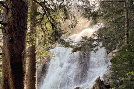 Waterfall cascade viewed through pine trees
