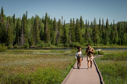 Two people strolling on a wooden boardwalk through a high mountain marsh with tall pine trees in the background