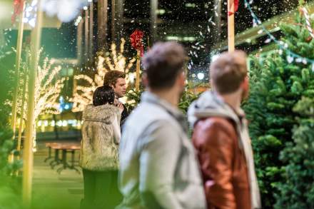 Two men looking at evergreen trees with a city in the background