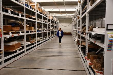 Natural History Museum of Utah collections area