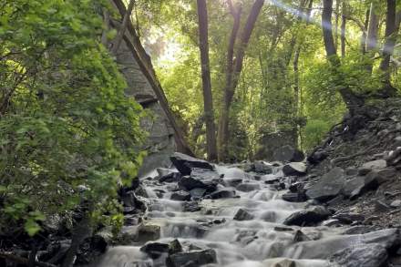 Cascade of water over very rocky streambed with spring trees surrounding it