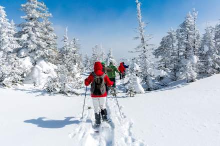 Snowshoe with a Naturalist at Alta