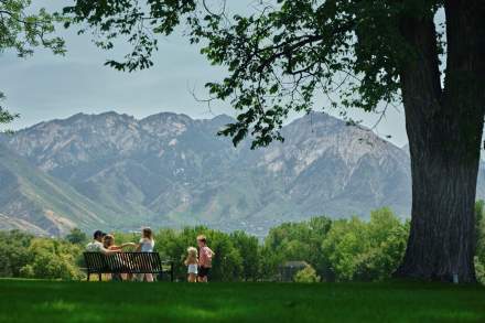 Family picnic in a park with lush green grass in and a scenic mountain view