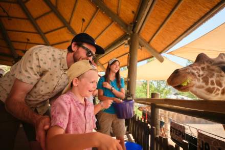 Family Feeds Giraffes Summer Shoot 2025